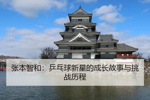 张本智和：乒乓球新星的成长故事与挑战历程